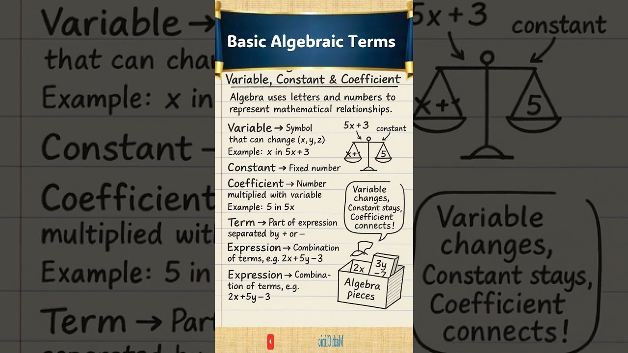 Основной алгебраический термин | Переменная | Коэффициент | Константа #mathclinic #maths #algebra