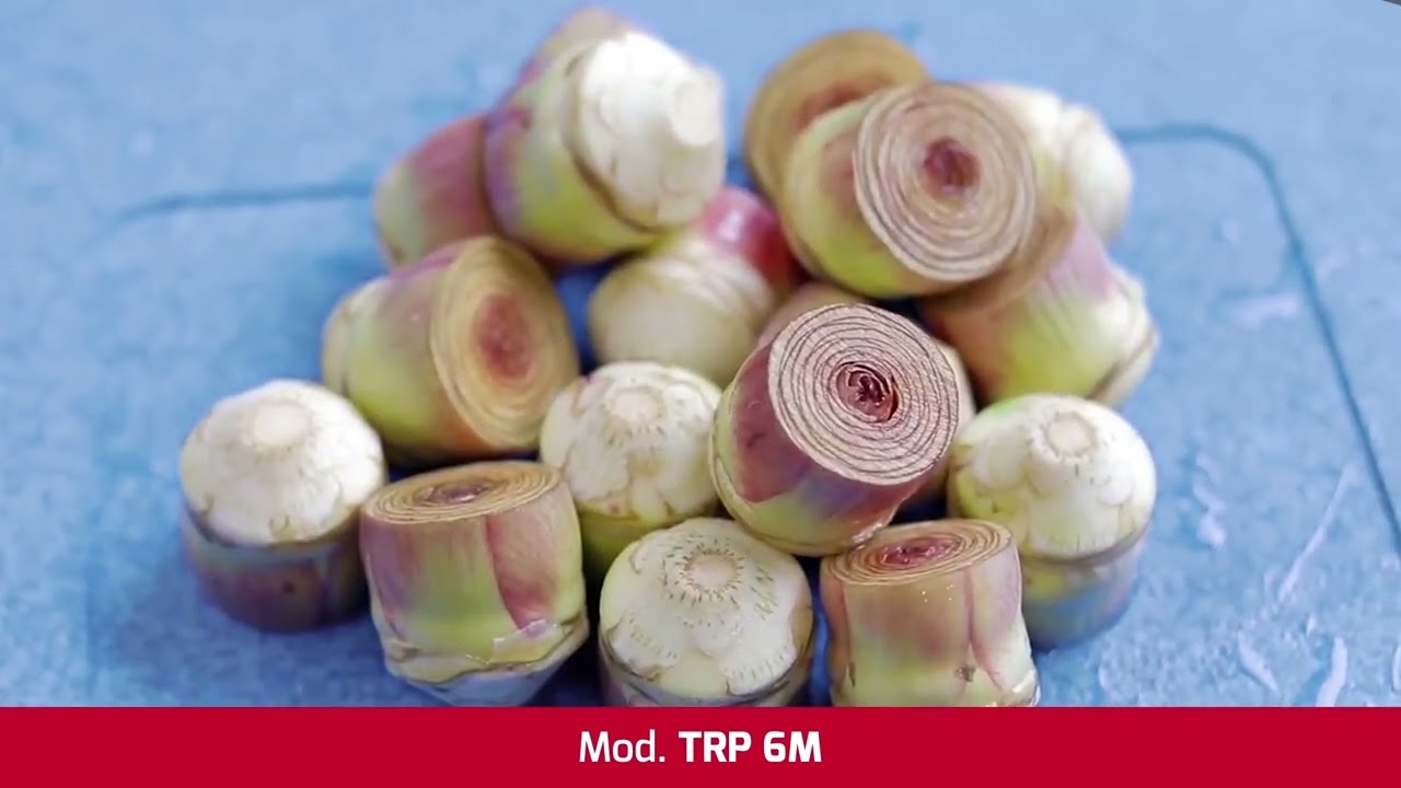machine équipement artichauts, ARTICHOKE , Machine à tourner les artichauts #artichoke  #artichokes