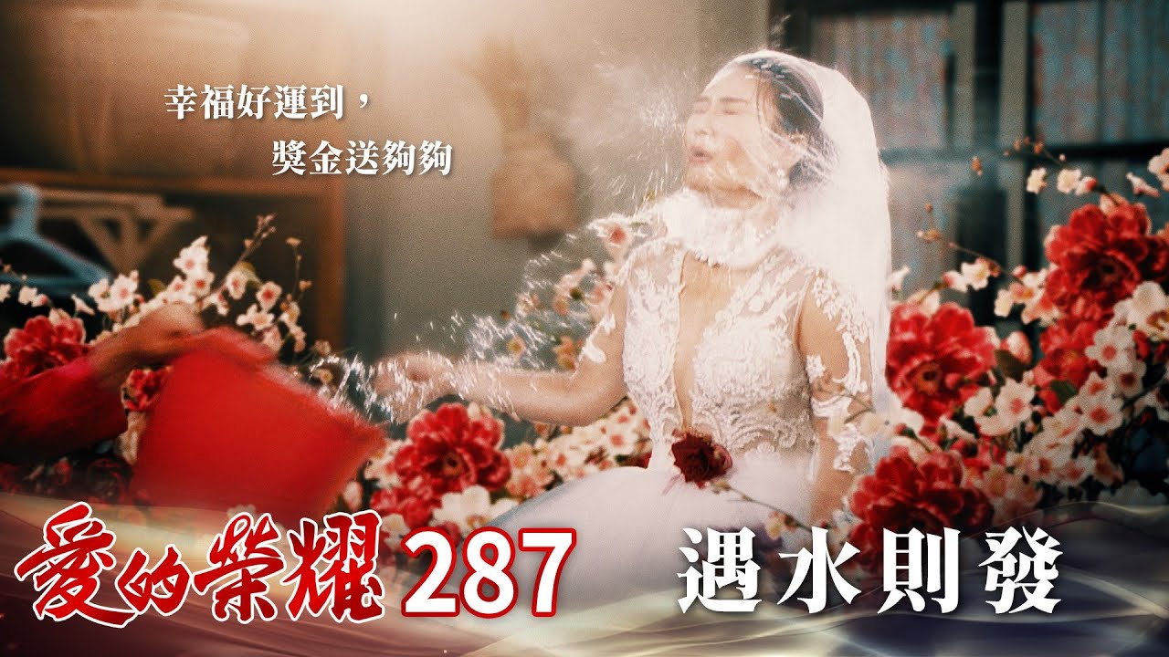愛的榮耀 EP287 遇水則發｜Glory of Love
