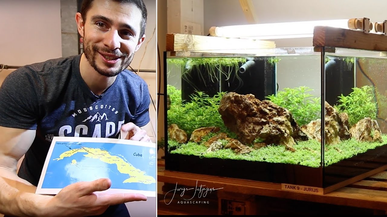 AQUASCAPING with ONLY 3 PLANTS - all discovered by Holger Windeløv in Cuba 🇨🇺