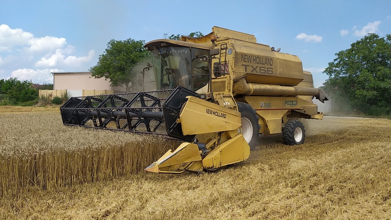 Žatva 2020 | New Holland TX66