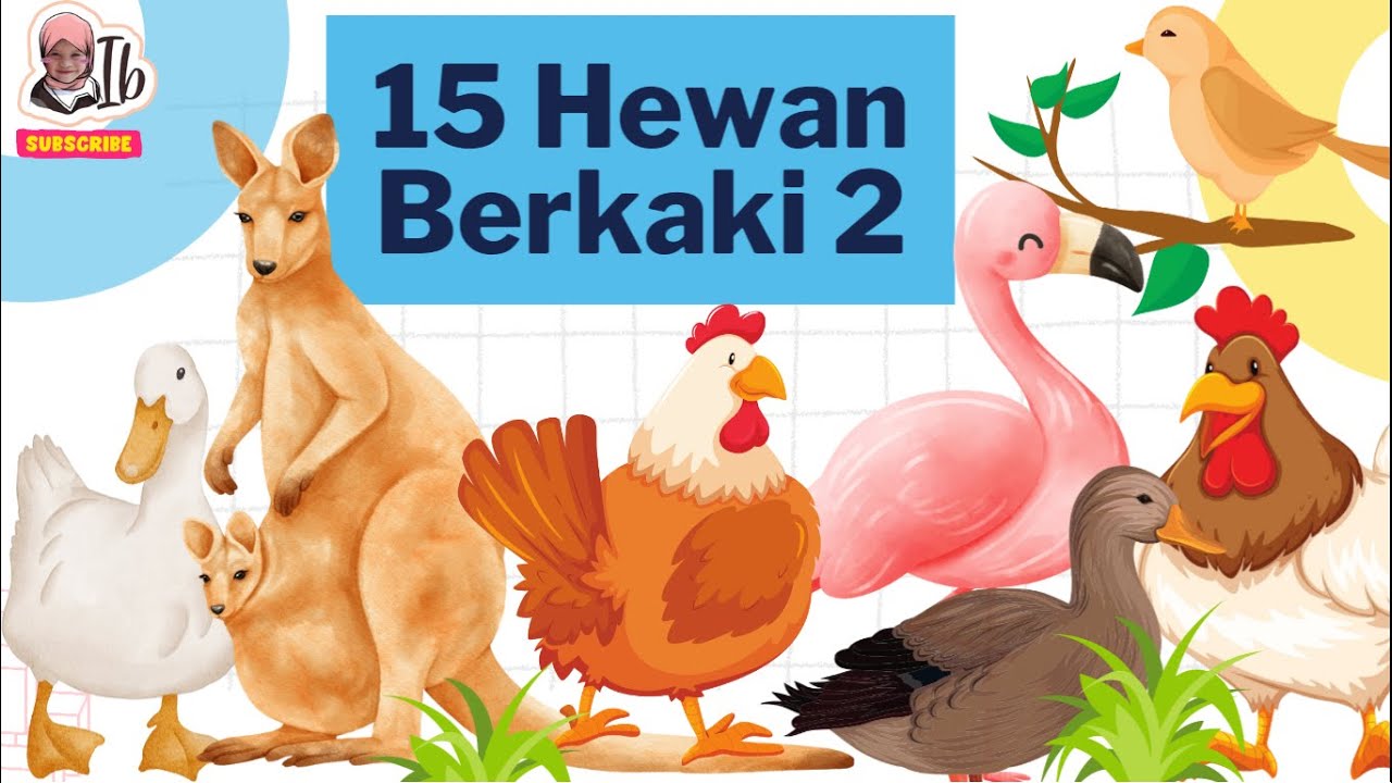15 Nama Hewan Lucu Berkaki 2 | Hewan yang memiliki 1 pasang kaki atau mempunyai 2 kaki