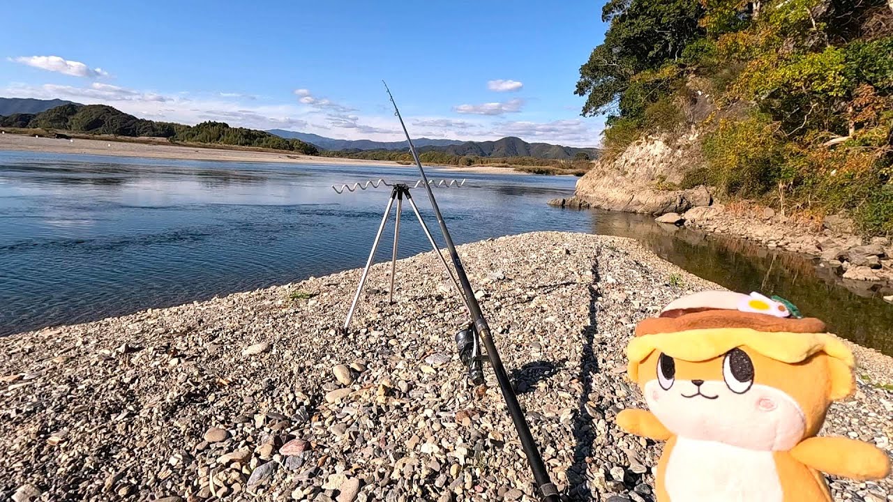 12月最初の鯉釣りで久しぶりの９０オーバーが釣れました！