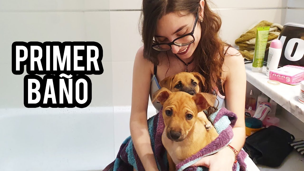 EL PRIMER BAÑO DE NALA Y KIARA