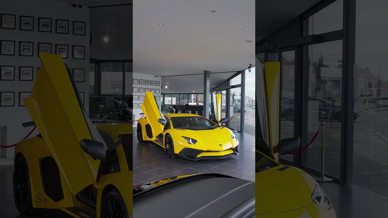 Lamborghini Aventador SV Coupe | LUXURYCARSELECTION | 4K