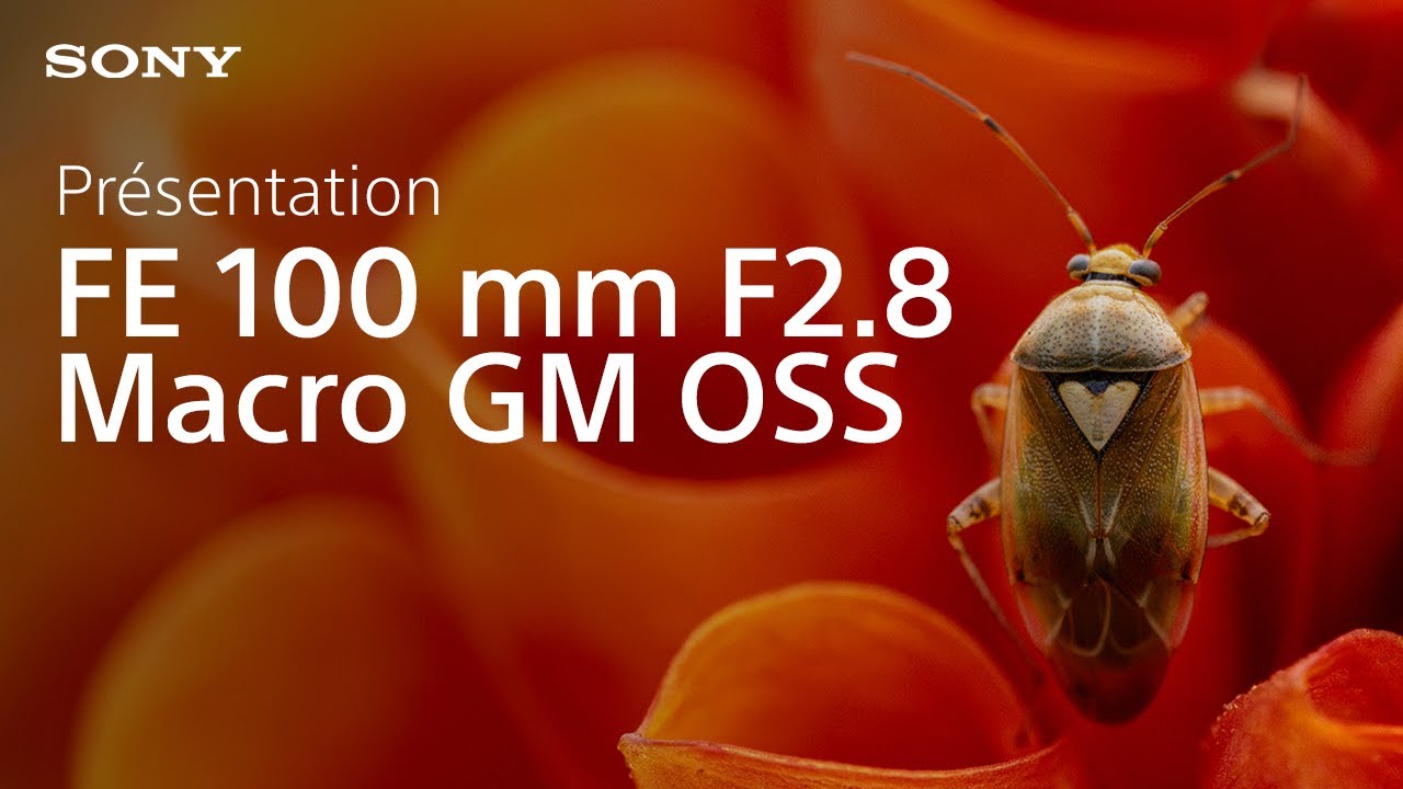 Pr&eacute;sentation du Sony FE 100 mm F2.8 Macro GM OSS | Objectif macro plein format