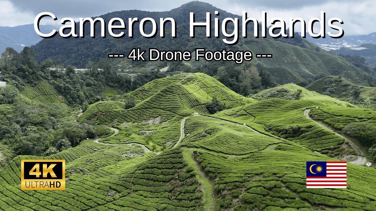 Cameron Highlands, Malaysia, from the Sky 🇲🇾 | DJI Mini 4 Pro | Cinematic 4K Drone Footage