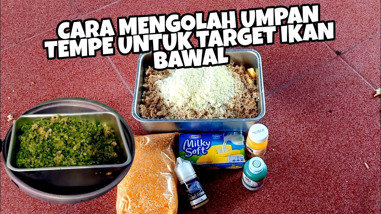 Cara Meracik Tempe Parut Untuk Umpan Babon Bawal