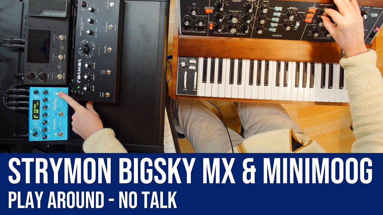 Strymon BigSky MX & Minimoog Model D Play Around - No Talk
