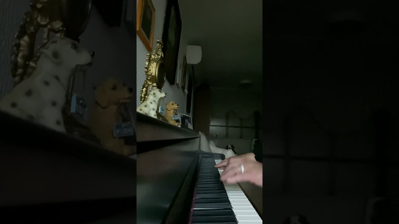 Usenobas ganvicdi-Ispolnenie-Neli Bar Michael-Kvitelashvili🎶❤️🙏