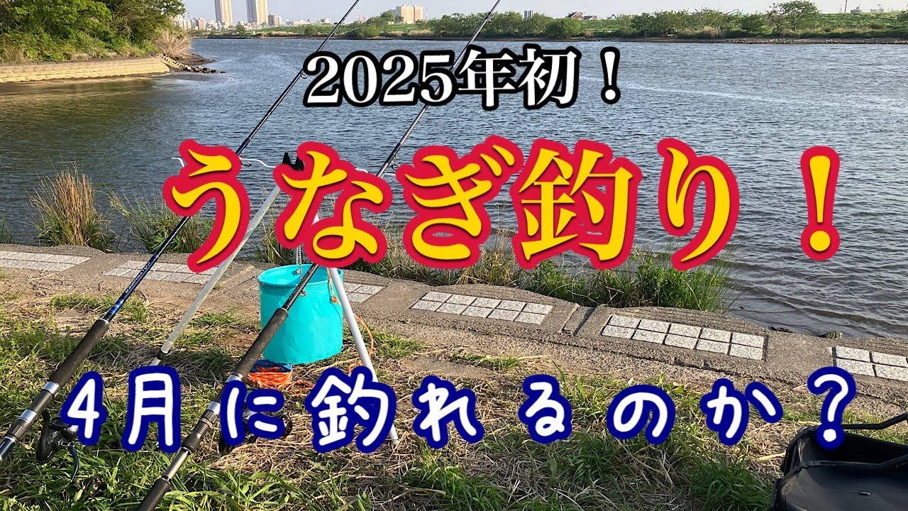【25年4月】今季初！近所の川でウナギ釣り！