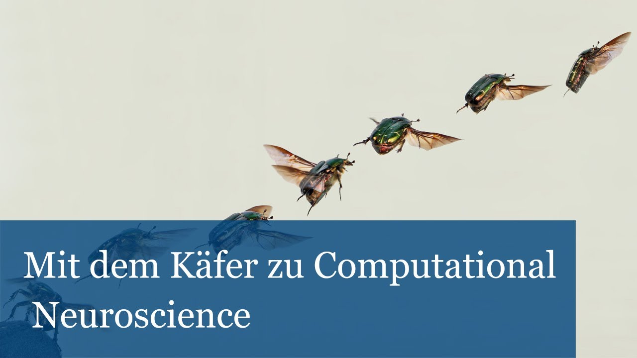 Mit dem K&auml;fer zu Computational Neuroscience: Ein Neuanfang der Forschung nach dem Krieg