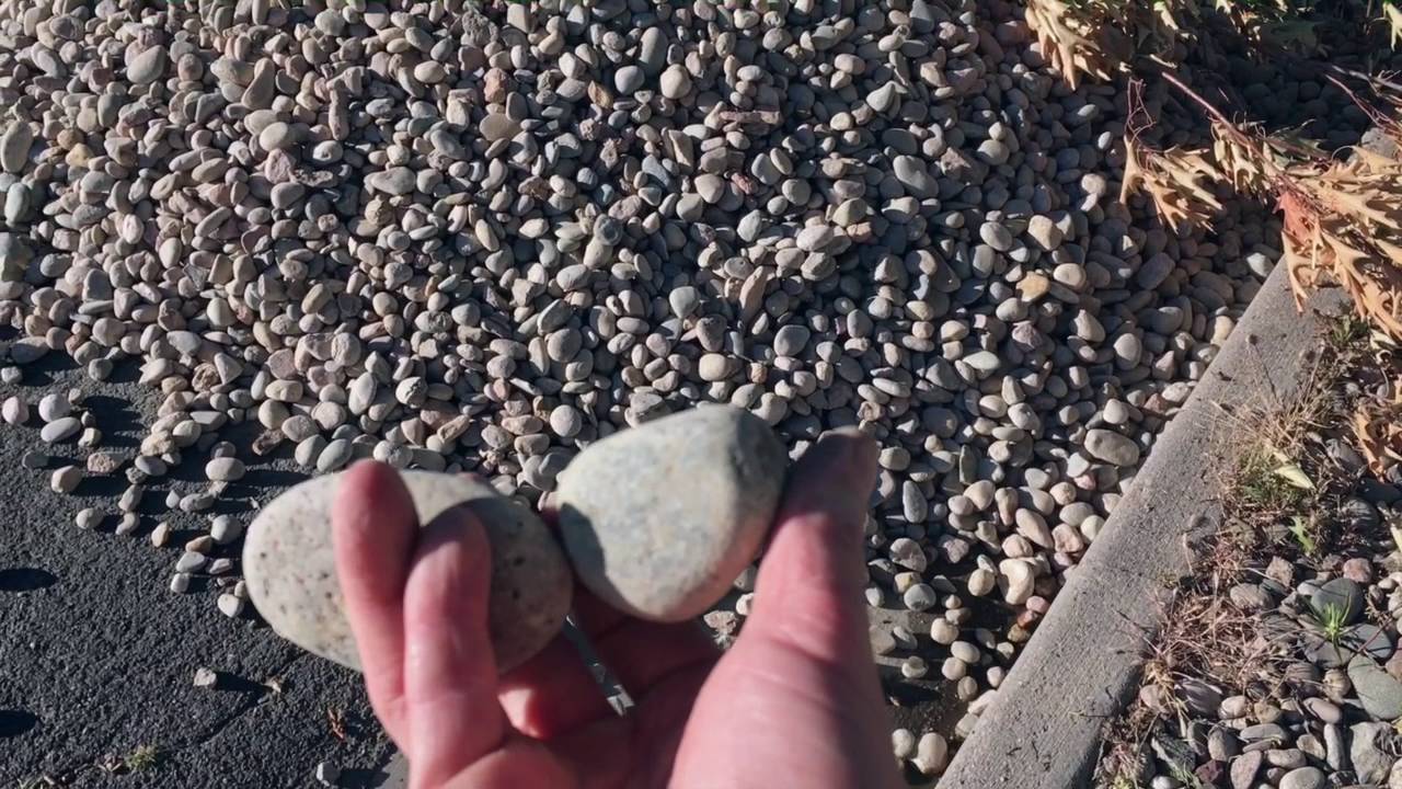 Heres how you can Xeriscape / Landscape your yard!