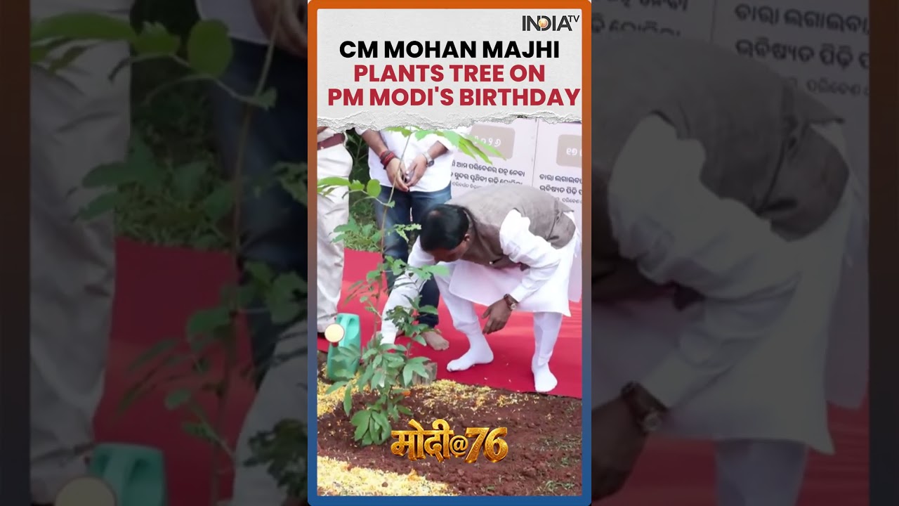 PM Modi Turns 76: Odisha CM Mohan Charan Majhi Plants Ashoka Sapling To Mark Pm Modi's Birthday