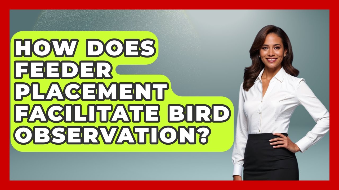 How Does Feeder Placement Facilitate Bird Observation? - Bird Watching Diaries