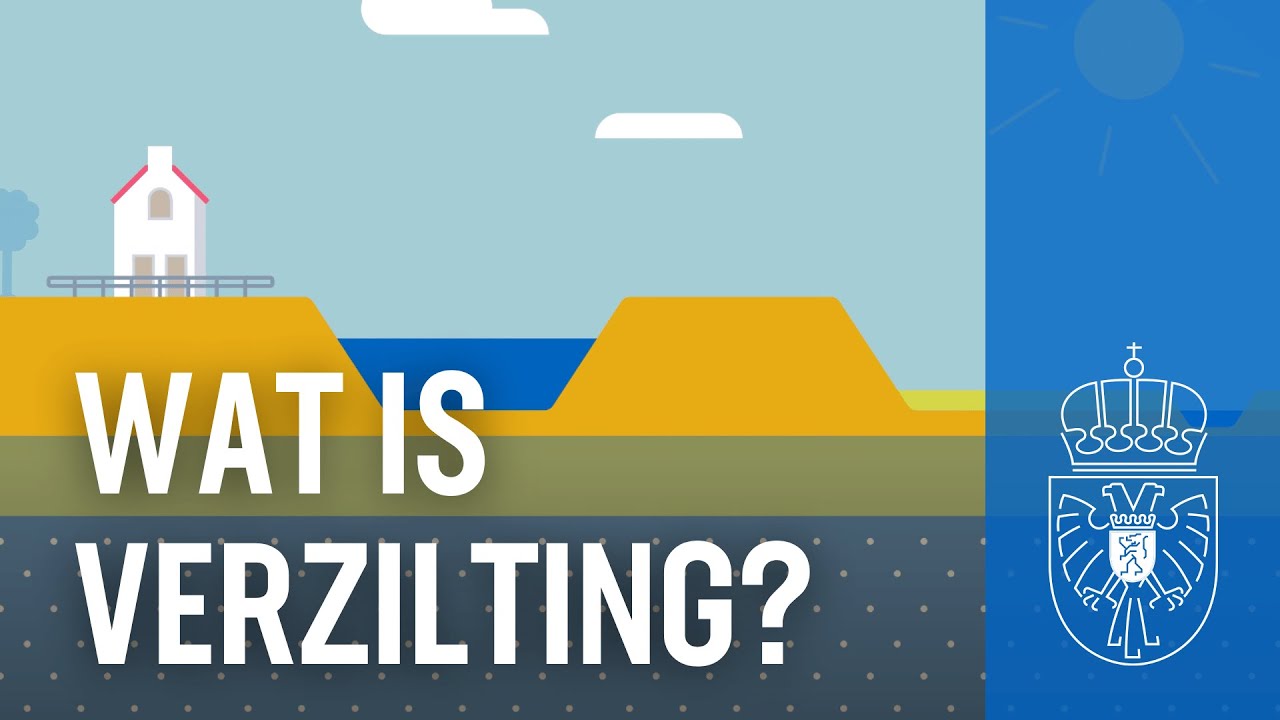 Wat zijn de gevolgen van verzilting?