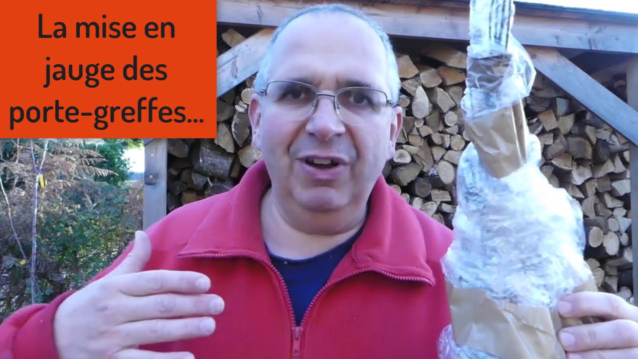 Bonus# Mise en jauge des porte-greffes d'arbres fruitiers