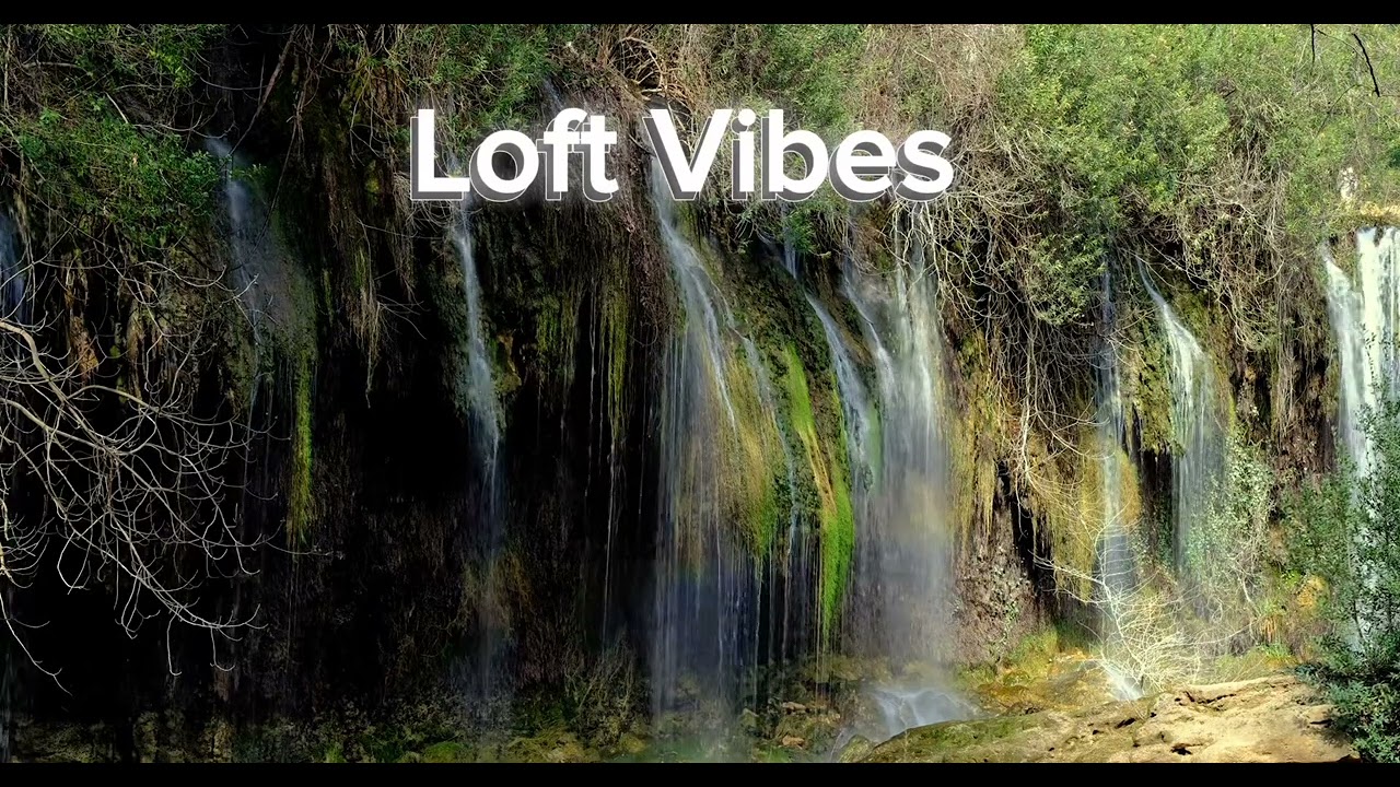 Loft Vibes