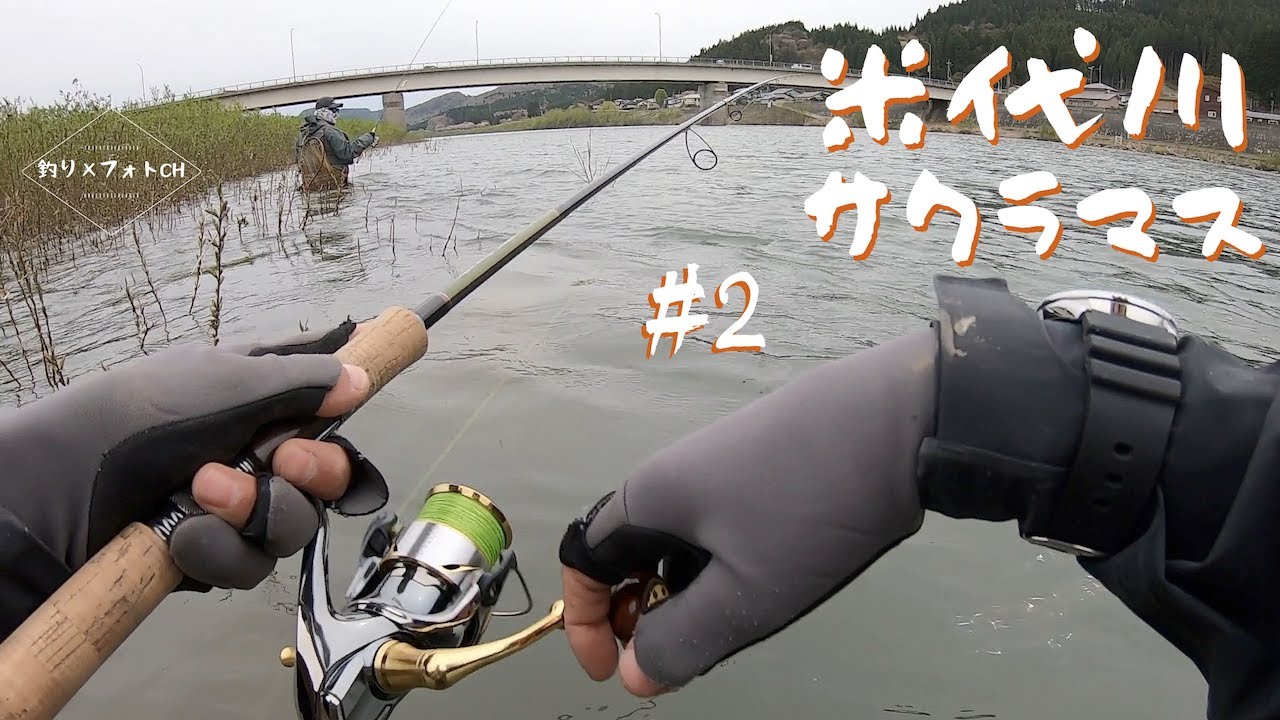 米代川サクラマス 車中泊の釣り旅#2【本流ルアー】【トラウトフィッシング】【Trout Lure Fishing】
