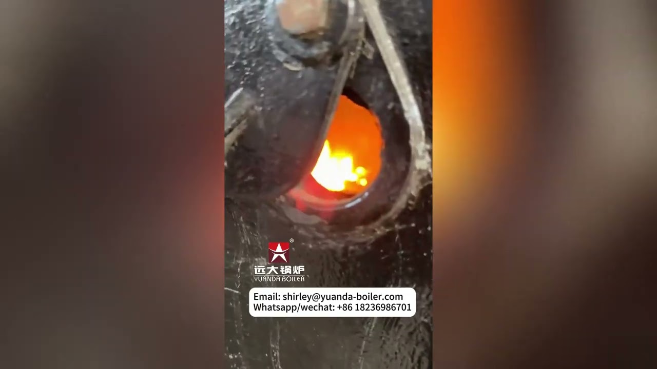 DZL Coal Hot Water Boiler For Mining Mongolia Chain Grate Boiler 700kw to 5600kw