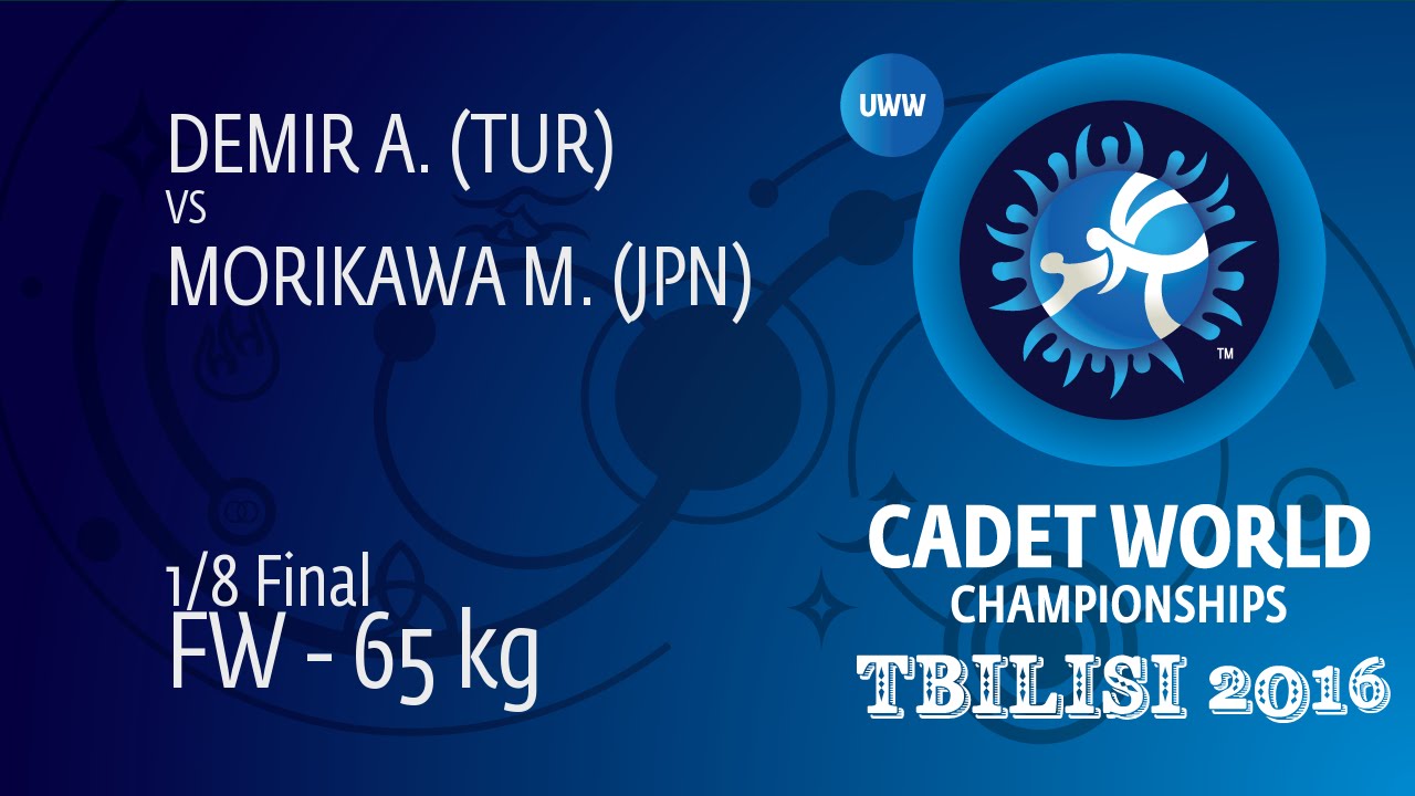 1/8 FW - 65 kg: M. MORIKAWA (JPN) df. A. DEMIR (TUR) by TF, 8-0