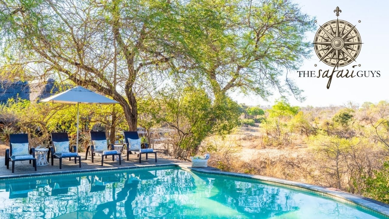 Thornybush Game Lodge | Limpopo, South Africa