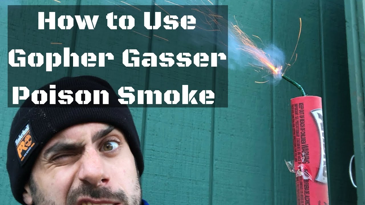 How to Use Gopher Gasser Poison Smoke Bomb to Kill Pesky Rodents