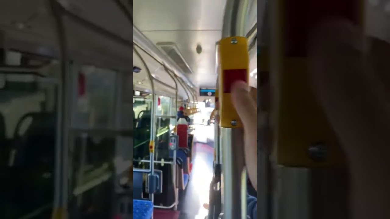 Pressing bus stop button on m/o 8199. #sydneybuses #shorts