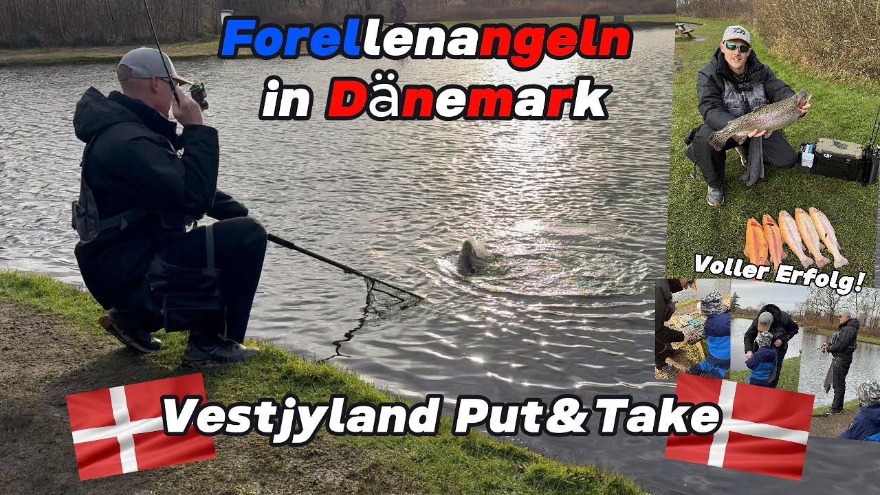 Forellenangeln in Dänemark - Vestjyland Put & Take #angeln #forelle #trout #troutfishing #ulfishing