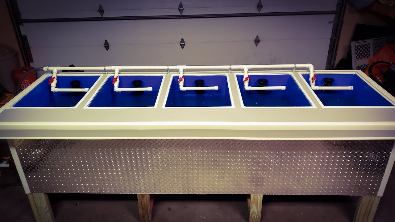 **INSANE** custom DIY BAIT TANK