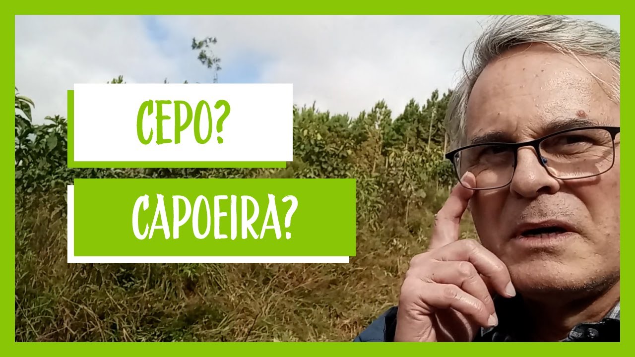 RO&Ccedil;ADA | Manuten&ccedil;&atilde;o da Ch&aacute;cara