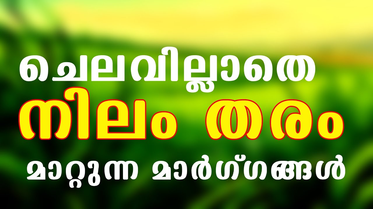 ചെലവില്ലാതെ നിലം തരംമാറ്റാം - നിയമത്തിലെ പഴുതുകൾ || PADDY LAND CONVERSION WITHOUT REMITTING FEES