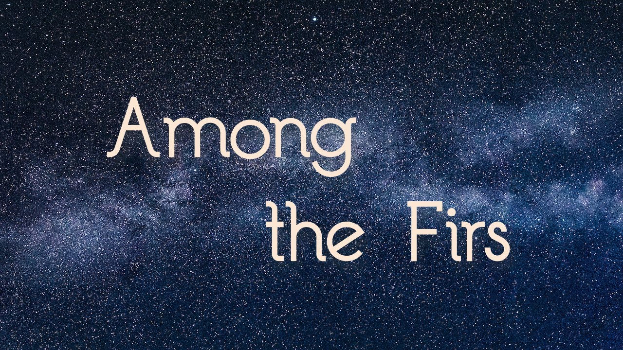 July 25 - Among the Firs