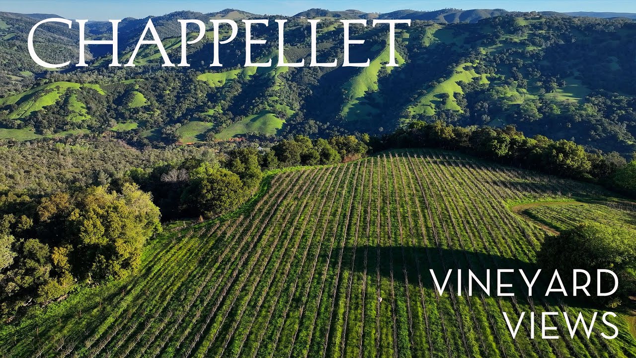 Vineyard Views | Spring Renewal on Pritchard Hill at Chappellet