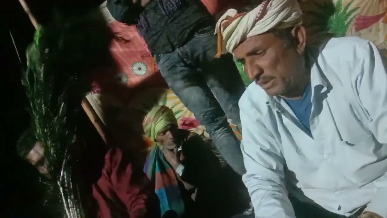 देसी खेलिया में आया दो दो दाना बाबा का भाव 🙏