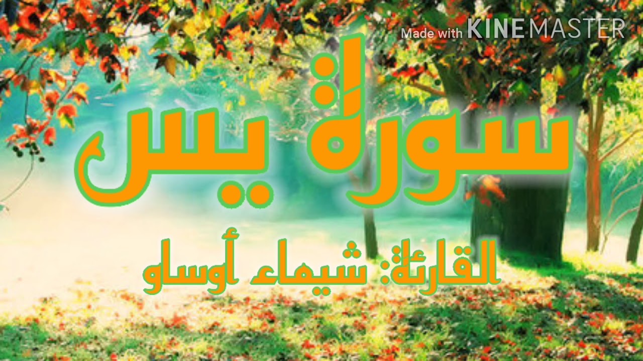 سورة يس| قلب القرآن❤️ - بصوت القارئة شيماء أوساو¦رواية ورش عن نافع¦Surat Yassin