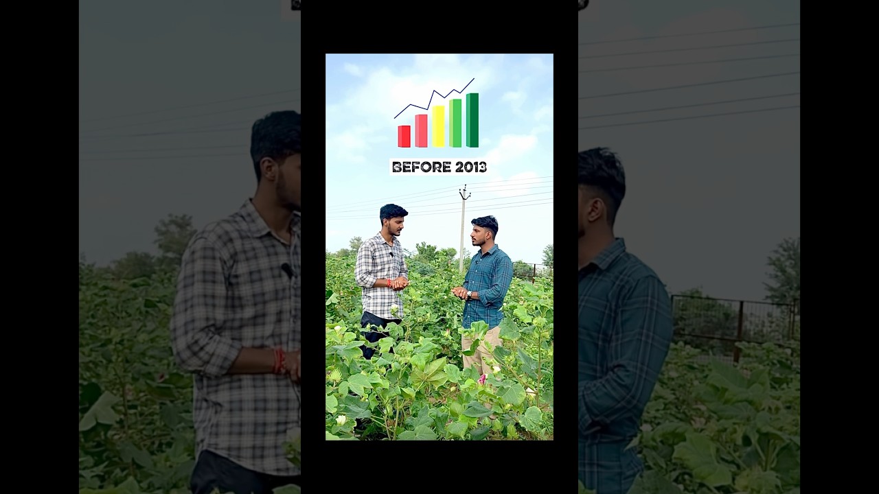 Part= 3 ( highest cotton production in India and export ) 