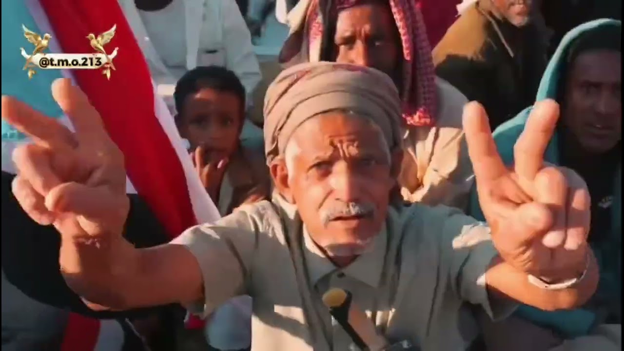 لي دوله بحكم النظام 