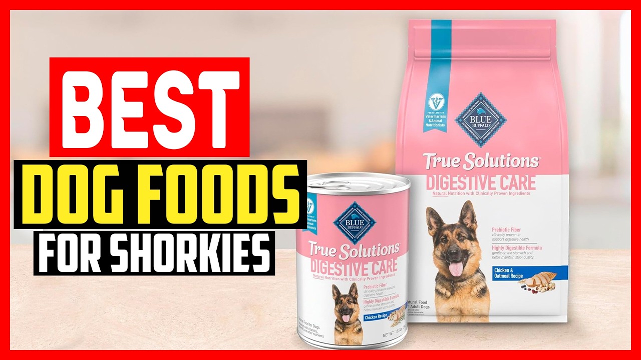 ✅Топ-5 лучших кормов для собак породы шорки в 2026 году