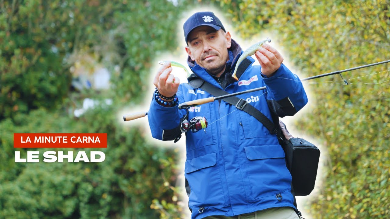 Tuto pêche : comment animer un shad - La Minute Carna