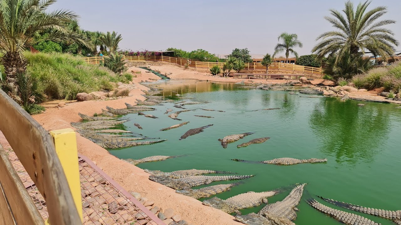 Agadir 2022- #Iberostar Founty Beach Hotel# Blog-Beach#Excursions#Sylhet/Bangladesh# Kam's-Cam