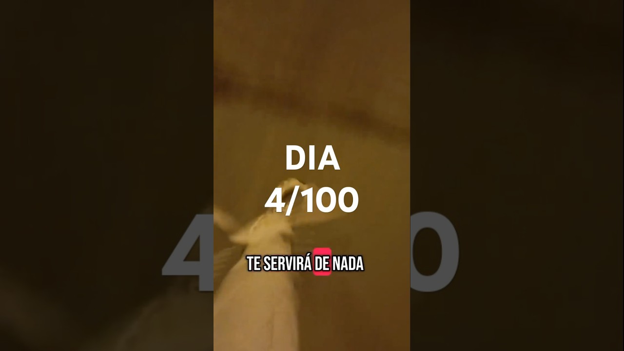 DIA 4/100 CAMBIO FÍSICO 