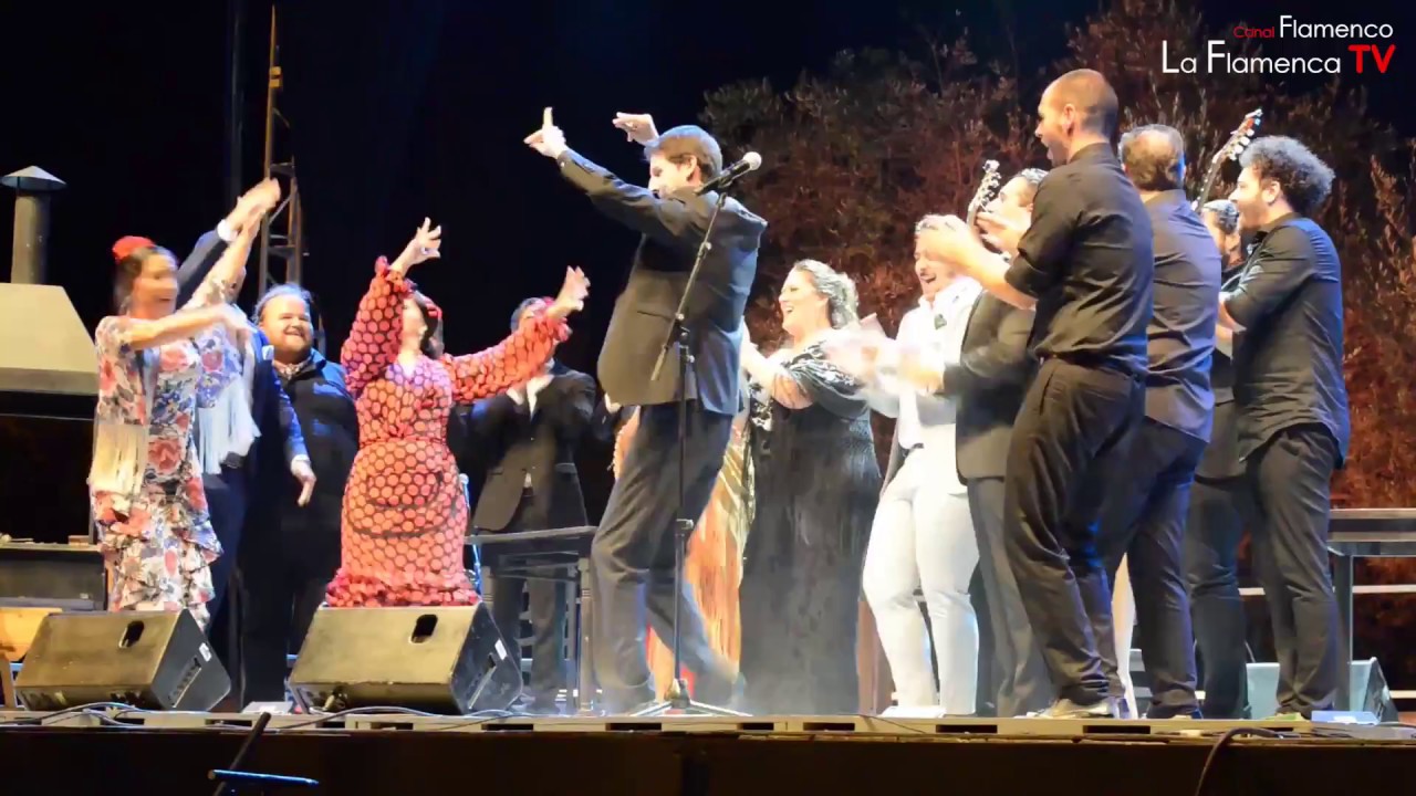 50º aniversario de La Fiesta de La Buleria de Jerez 2017