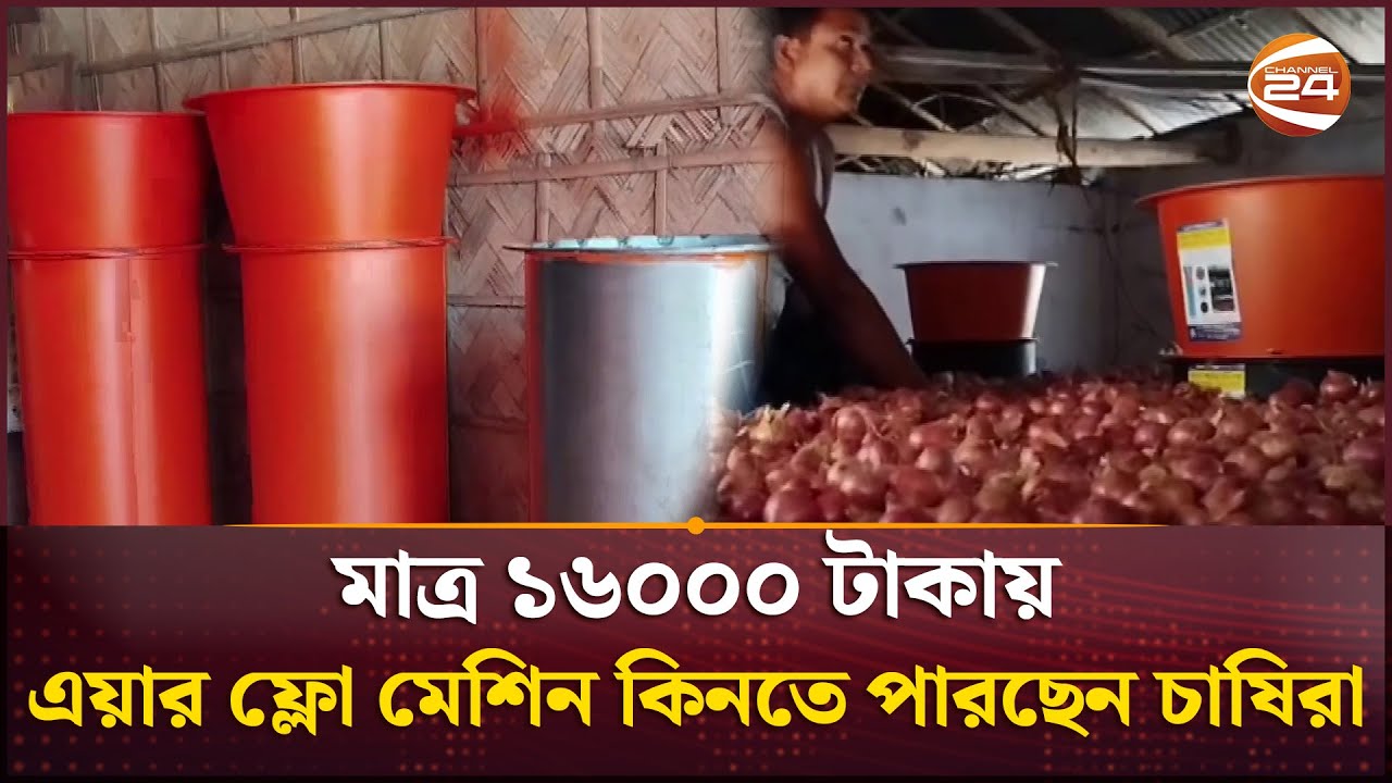 পেঁয়াজ সংরক্ষণে জনপ্রিয়ও হচ্ছে এয়ার ফ্লো মেশিন | Air Flow Machine | Onion | Krishi 24 | Channel 24
