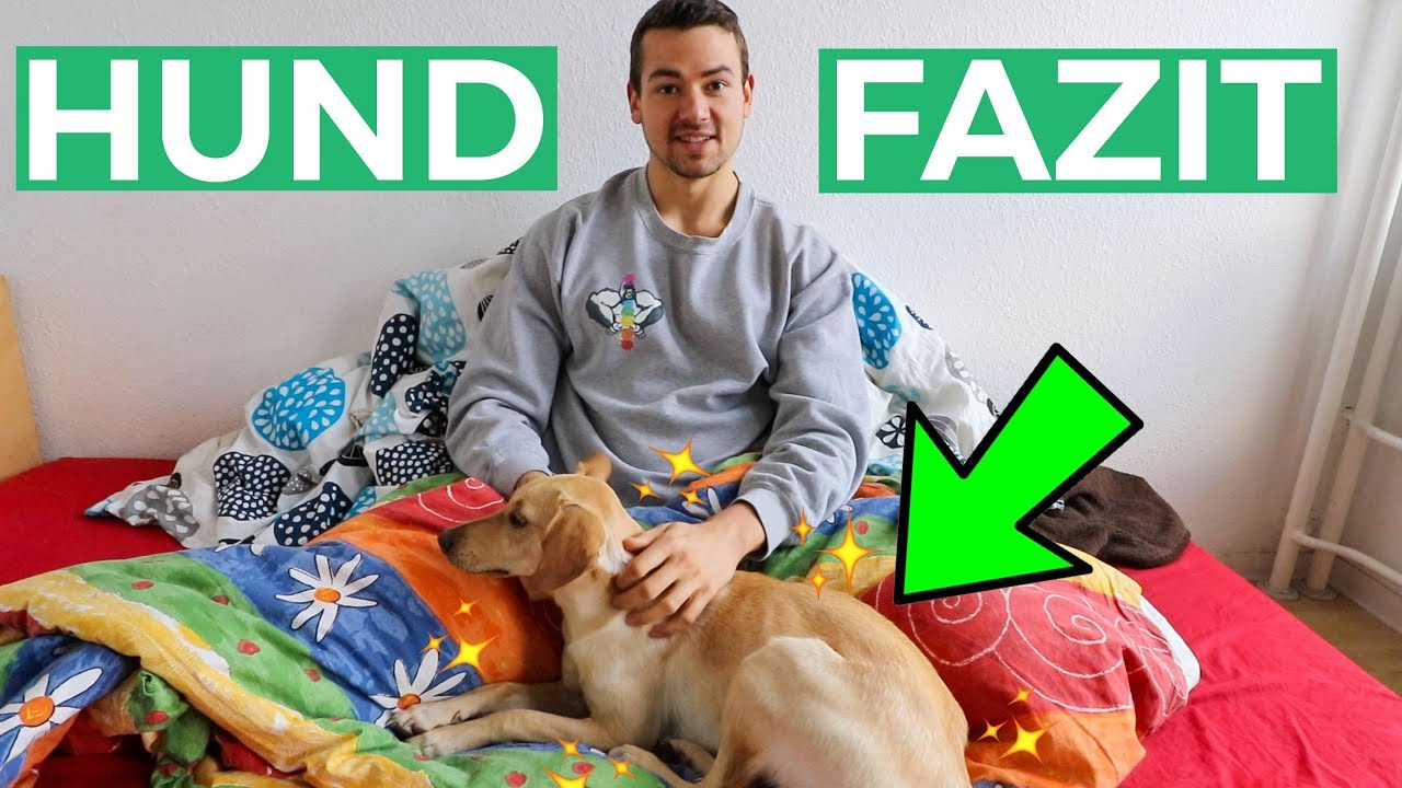 Leben mit Hund 🐕 Fazit nach (fast) 1 Jahr