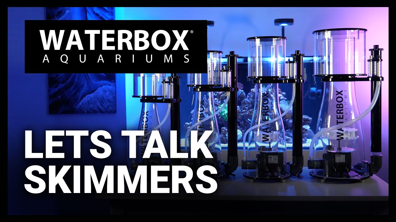 Lets Talk Protein Skimmers.  Episode 184
