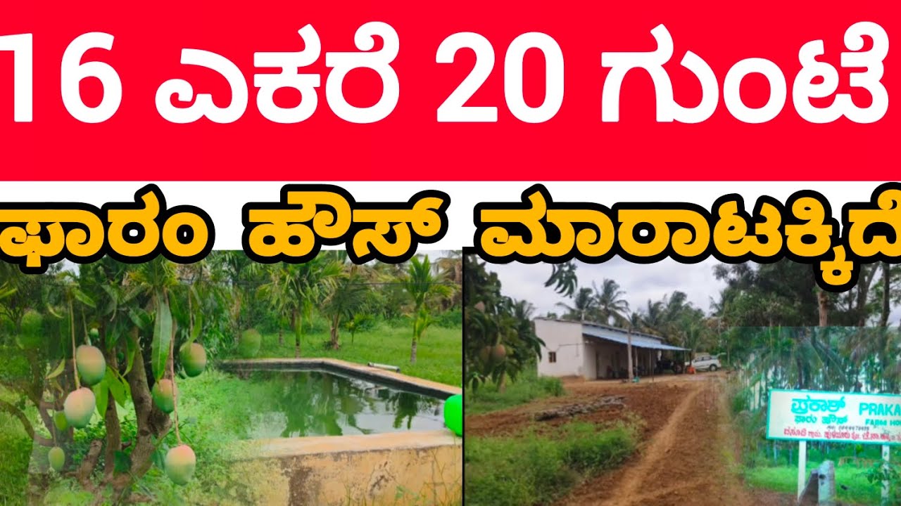 FARM HOUSE SALE || ಫಾರಂ ಹೌಸ್ ಮಾರಾಟಕ್ಕಿದೆ.