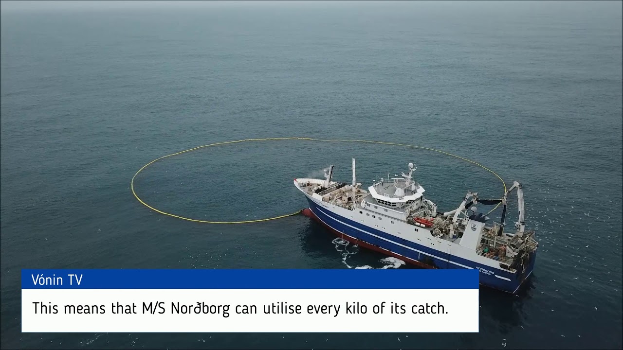 Nordborg Purse Seining for Capelin