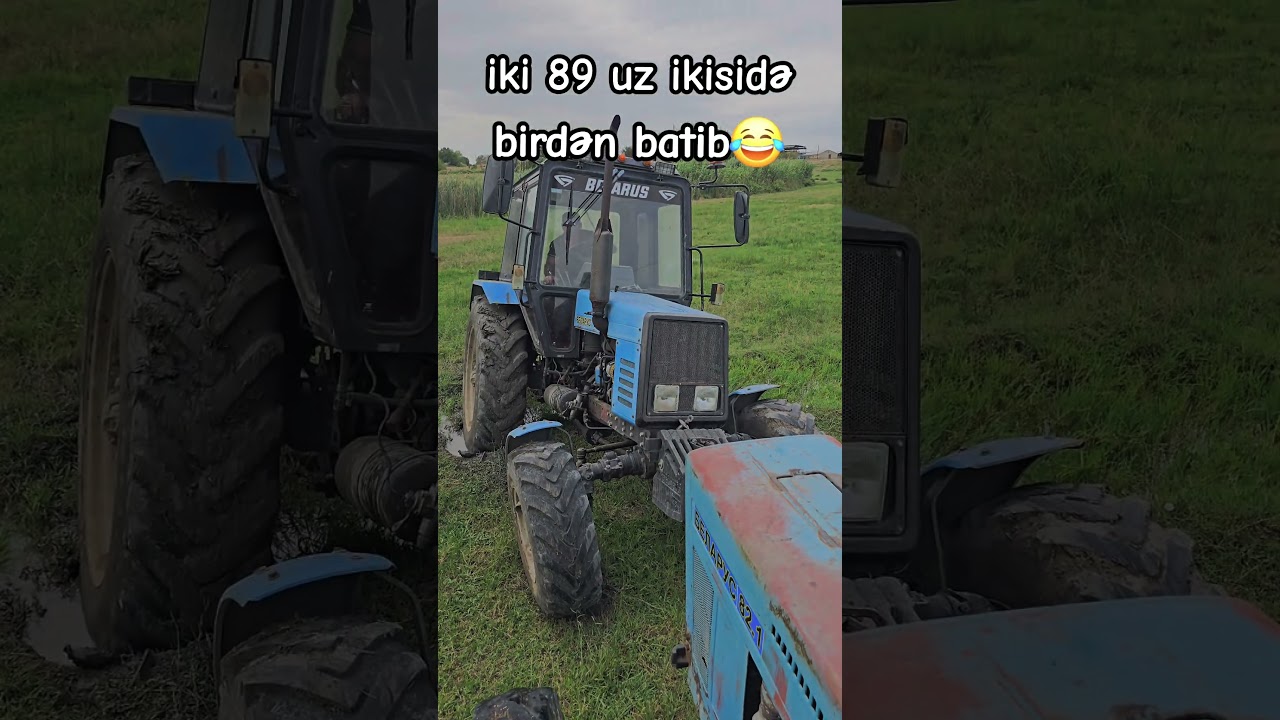 leş 89