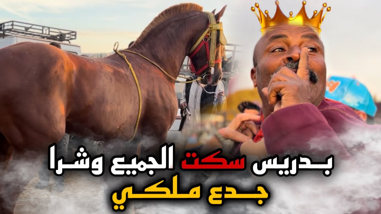 🚨بـدريس زعزع سوق لخميسات وشرا جدع ملكي 👑 بالأوراق سوق حماسي وموت ديال ضحك 😂